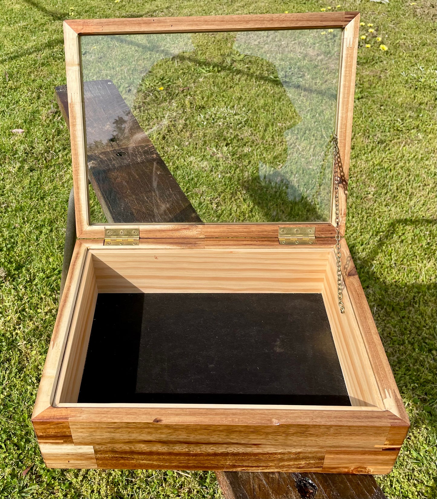 Acacia Display Box